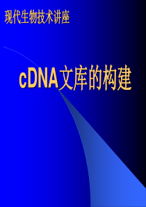 cDNA文库构建