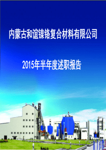 和谊公司2015年半年度述职报告(6月26日)