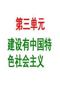 第三单元复习课件建设中国特色社会主义(共19张PPT)