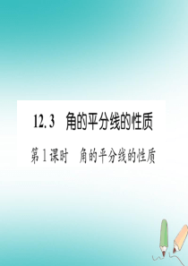 12.3角的平分线的性质习题课件