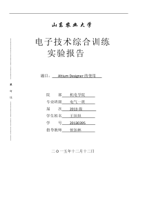 AD实验报告