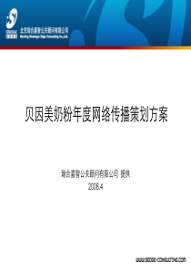 XXXX贝因美年度网络传播策划方案