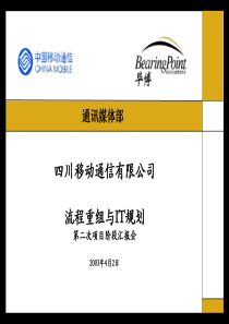 毕博四川移动流程重组与IT规划（PPT 105页）