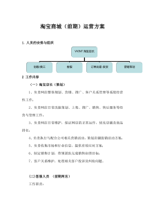 【运营方案】电子商务(前期)运营方案剖析