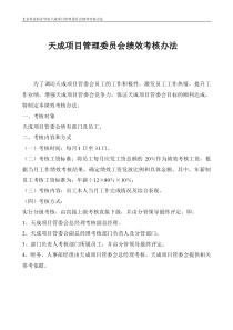 项目管理委员会绩效考核办法表格制度与操作方案