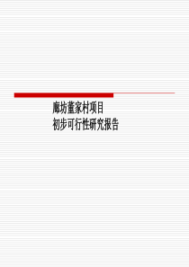 廊坊董家村项目可行性研究报告