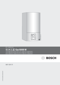 新欧洲之星GAZ6000W用户说明书(国产)