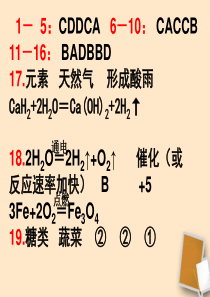 山东省滨州市邹平实验中学2011-2012学年九年级化学 模拟试题四课件 人教新课标版