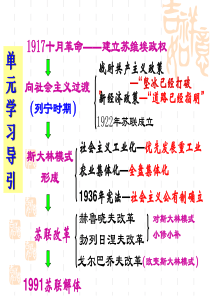 高中人教版必修二第20课从战时共产主义政策到新经济政策