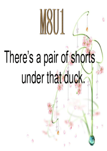 M8U1There’s a pair of shorts  under that duck.