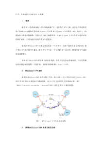 MPLS-vpn跨域方案比较