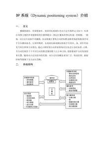 DP系统