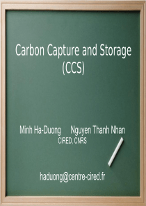 Carbon Capture and Storage (CCS)