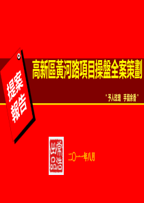 XX年8月包头高新区黄河路项目操盘全案策划191p