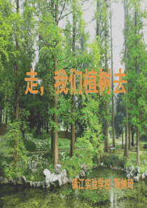 《走,我们去植树》PPT课件