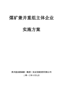 煤矿企业兼并重组整合主体企业实施方案2