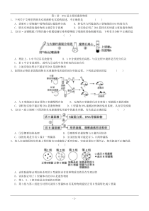 DNA分子结构-复制-基因的表达