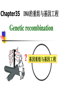 王镜岩生物化学-第35章 DNA的重组与基因工程