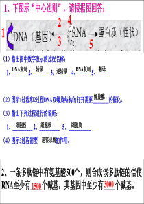 理科基因突变与基因重组