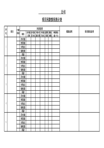 项目回款进度表