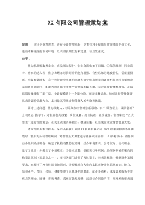 XX有限公司管理策划案(doc 9)