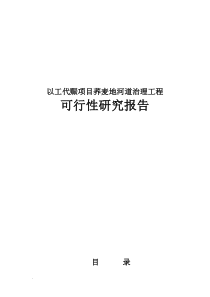 以工代赈荞麦地河道治理工程可行性研究报告