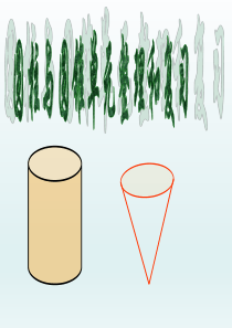 人教版六年级下册圆柱与圆锥整理复习