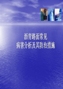 沥青路面常见病害分析及其防治措施ppt课件