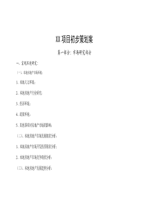 XX项目初步策划案(1)