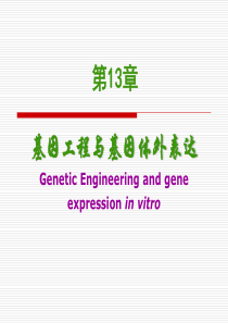 第13章基因重组和基因工程