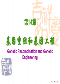 第14章基因重组和基因工程--本科