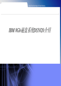 IBM DS5020存储详细参数详述 中文 产品详细说明--足够详细 官网只有