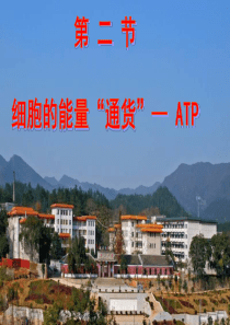 ATP课件公开课