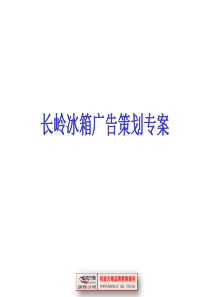 [和锐方略] 长岭冰箱广告策划专案