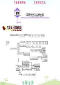 第5章基因突变和基因重组