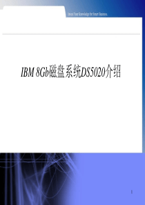 IBM_DS5020存储详细参数详述_中文_产品详细说明--足够详细_官网只有