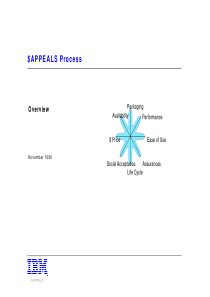 IBM产品差异化模型（$appeals）(英文版)