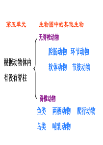 八上册生物第五单元