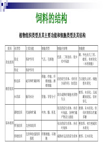 饲料的结构与成分