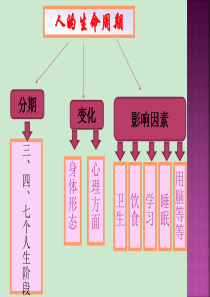 苏教版六年级下册科学第一单元复习