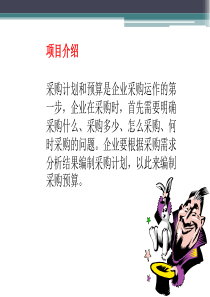 采购计划与预算编制