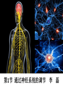 《2.1-通过神经系统的调节》-(公开课共32张PPT)