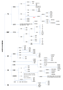 营销五大环节(树状图)