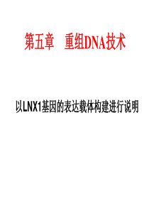 第五章重组DNA技术