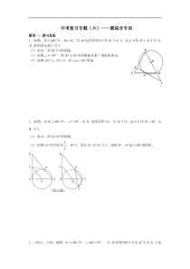 中考复习专题圆综合