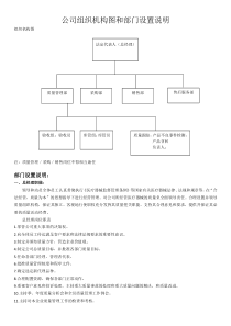 公司组织机构图和部门设置说明医疗器械