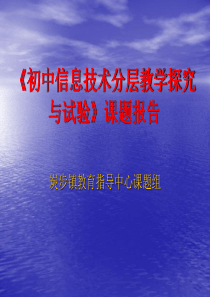 初中信息技术分层教学探究与实验-初中信息技术分层教学探究