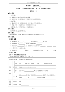 14神经系统的组成导学案