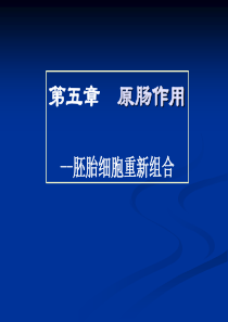 第五章原肠运动——胚胎细胞重组