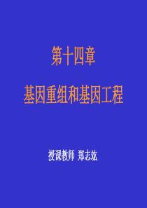 第十四章基因重组与基因工程-第14章基因重组与基因工程